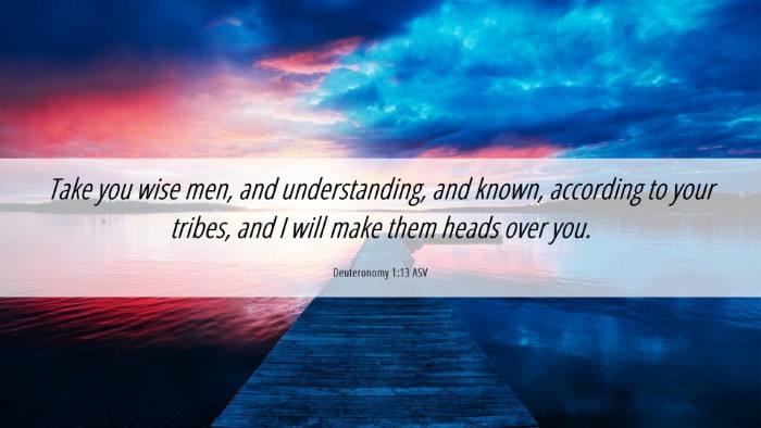 Picture 06 - Deuteronomy 1:13 ASV Desktop Wallpaper - Take you wise men, and understanding, and known, - Desktop Bible Verse Wallpaper