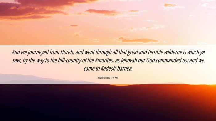 Picture 06 - Deuteronomy 1:19 ASV Desktop Wallpaper - And we journeyed from Horeb, and went through all - Desktop Bible Verse Wallpaper