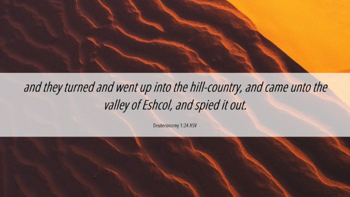 Picture 06 - Deuteronomy 1:24 ASV Desktop Wallpaper - and they turned and went up into the - Desktop Bible Verse Wallpaper