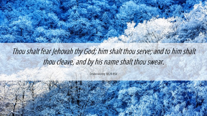 Picture 06 - Deuteronomy 10:20 ASV Desktop Wallpaper - Thou shalt fear Jehovah thy God; him shalt thou - Desktop Bible Verse Wallpaper