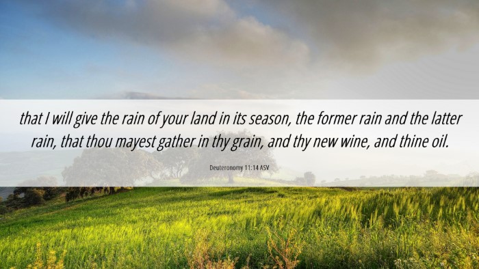 Picture 06 - Deuteronomy 11:14 ASV Desktop Wallpaper - that I will give the rain of your land in its - Desktop Bible Verse Wallpaper