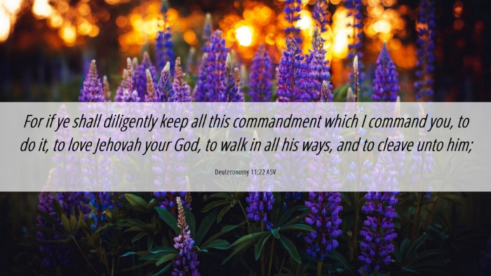 Picture 06 - Deuteronomy 11:22 ASV Desktop Wallpaper - For if ye shall diligently keep all this - Desktop Bible Verse Wallpaper