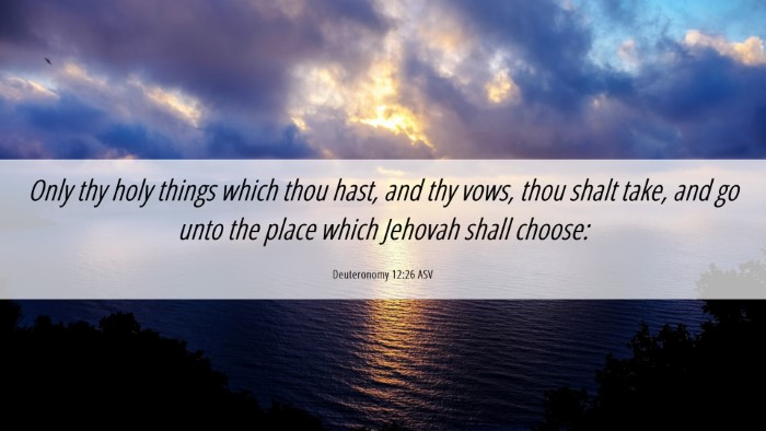 Picture 06 - Deuteronomy 12:26 ASV Desktop Wallpaper - Only thy holy things which thou hast, and thy - Desktop Bible Verse Wallpaper