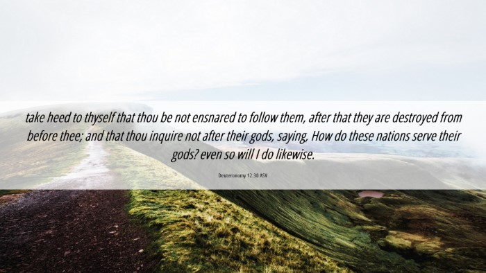 Picture 06 - Deuteronomy 12:30 ASV Desktop Wallpaper - take heed to thyself that thou be not ensnared to - Desktop Bible Verse Wallpaper