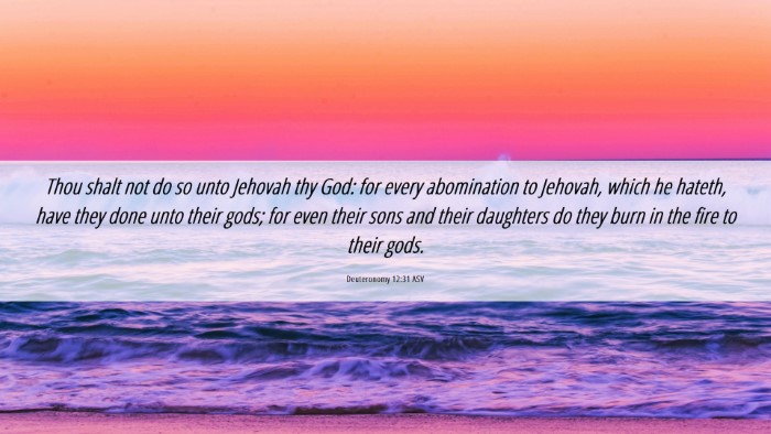 Picture 06 - Deuteronomy 12:31 ASV Desktop Wallpaper - Thou shalt not do so unto Jehovah thy God: for - Desktop Bible Verse Wallpaper