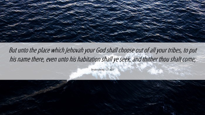 Picture 06 - Deuteronomy 12:5 ASV Desktop Wallpaper - But unto the place which Jehovah your God shall - Desktop Bible Verse Wallpaper