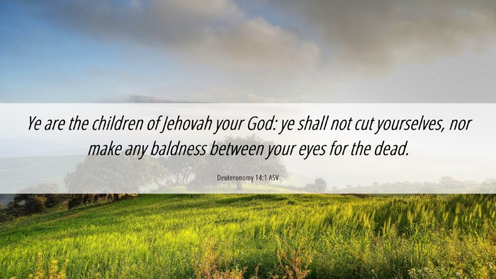 Picture 06 - Deuteronomy 14:1 ASV Desktop Wallpaper - Ye are the children of Jehovah your God: ye shall - Desktop Bible Verse Wallpaper