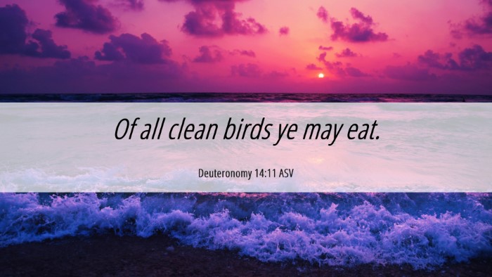 Picture 06 - Deuteronomy 14:11 ASV Desktop Wallpaper - Of all clean birds ye may - Desktop Bible Verse Wallpaper