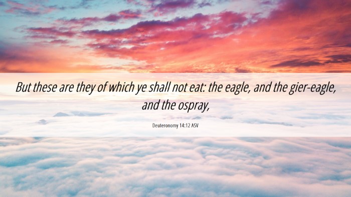 Picture 06 - Deuteronomy 14:12 ASV Desktop Wallpaper - But these are they of which ye shall not eat: the - Desktop Bible Verse Wallpaper