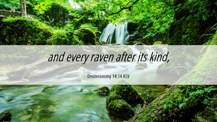 Picture 06 - Deuteronomy 14:14 ASV Desktop Wallpaper - and every raven after its - Desktop Bible Verse Wallpaper