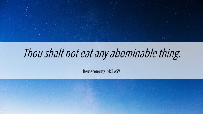 Picture 06 - Deuteronomy 14:3 ASV Desktop Wallpaper - Thou shalt not eat any abominable - Desktop Bible Verse Wallpaper