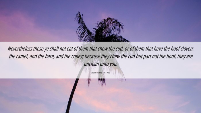 Picture 06 - Deuteronomy 14:7 ASV Desktop Wallpaper - Nevertheless these ye shall not eat of them that - Desktop Bible Verse Wallpaper