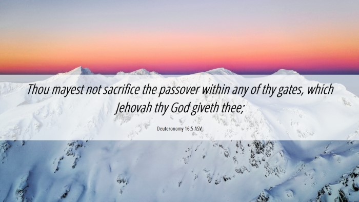Picture 06 - Deuteronomy 16:5 ASV Desktop Wallpaper - Thou mayest not sacrifice the passover within any - Desktop Bible Verse Wallpaper