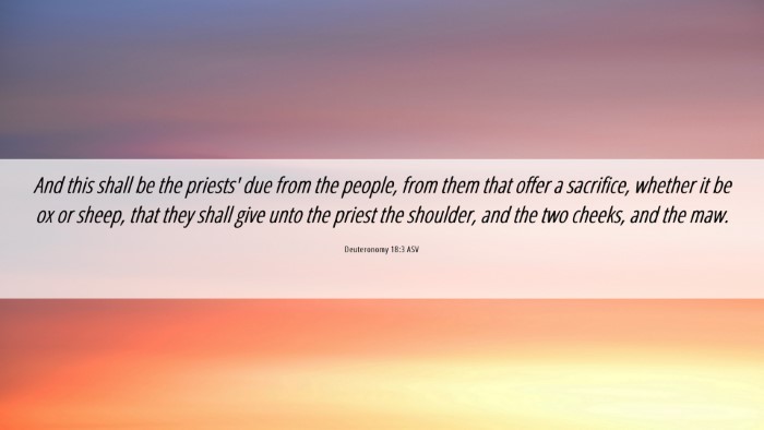 Picture 06 - Deuteronomy 18:3 ASV Desktop Wallpaper - And this shall be the priests' due from the - Desktop Bible Verse Wallpaper