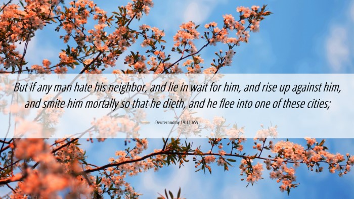 Picture 06 - Deuteronomy 19:11 ASV Desktop Wallpaper - But if any man hate his neighbor, and lie in wait - Desktop Bible Verse Wallpaper