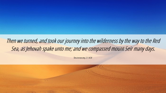 Picture 06 - Deuteronomy 2:1 ASV Desktop Wallpaper - Then we turned, and took our journey into the - Desktop Bible Verse Wallpaper