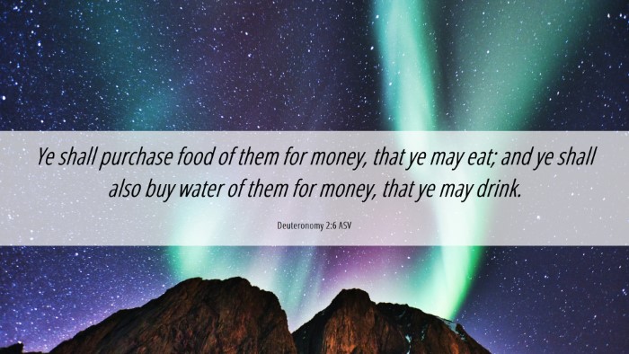 Picture 06 - Deuteronomy 2:6 ASV Desktop Wallpaper - Ye shall purchase food of them for money, that ye - Desktop Bible Verse Wallpaper
