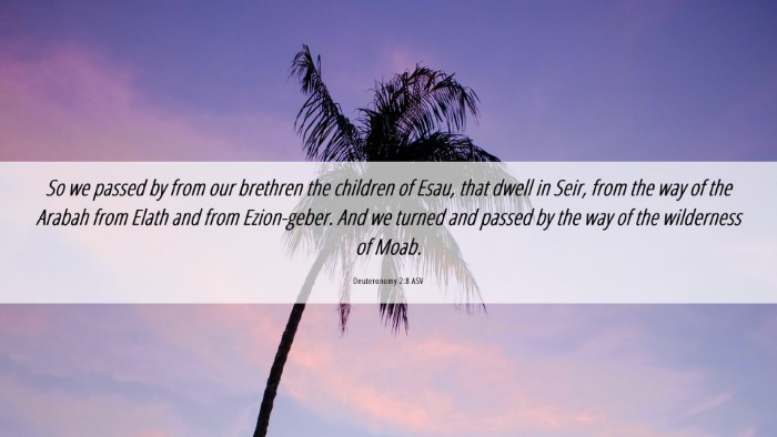 Picture 06 - Deuteronomy 2:8 ASV Desktop Wallpaper - So we passed by from our brethren the children of - Desktop Bible Verse Wallpaper