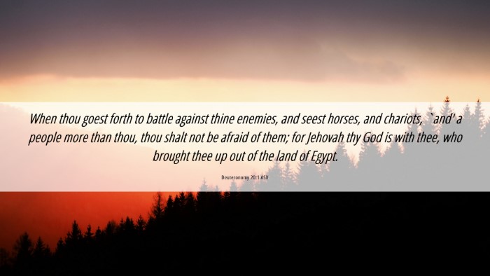 Picture 06 - Deuteronomy 20:1 ASV Desktop Wallpaper - When thou goest forth to battle against thine - Desktop Bible Verse Wallpaper