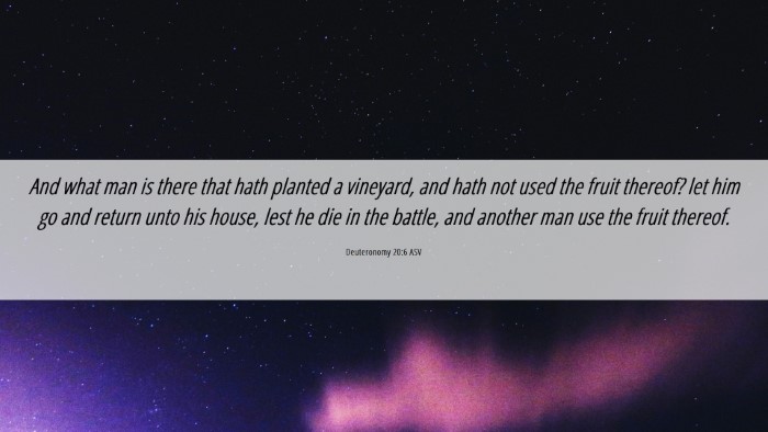 Picture 06 - Deuteronomy 20:6 ASV Desktop Wallpaper - And what man is there that hath planted a - Desktop Bible Verse Wallpaper