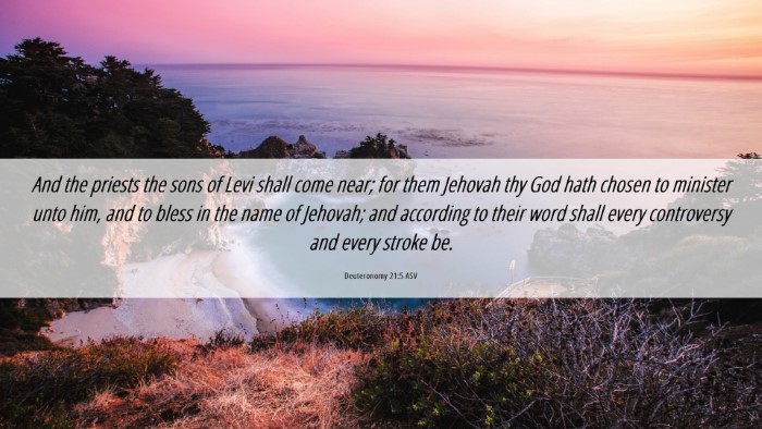 Picture 06 - Deuteronomy 21:5 ASV Desktop Wallpaper - And the priests the sons of Levi shall come near; - Desktop Bible Verse Wallpaper