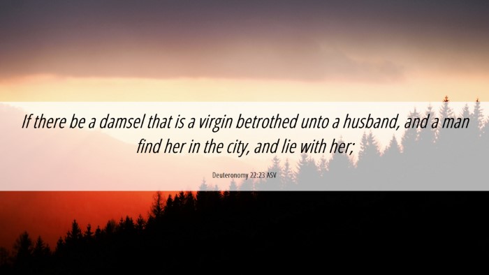 Picture 06 - Deuteronomy 22:23 ASV Desktop Wallpaper - If there be a damsel that is a virgin betrothed - Desktop Bible Verse Wallpaper