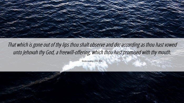 Picture 06 - Deuteronomy 23:23 ASV Desktop Wallpaper - That which is gone out of thy lips thou shalt - Desktop Bible Verse Wallpaper