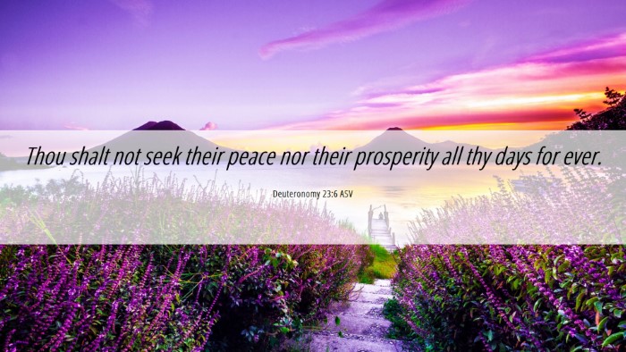 Picture 06 - Deuteronomy 23:6 ASV Desktop Wallpaper - Thou shalt not seek their peace nor their - Desktop Bible Verse Wallpaper