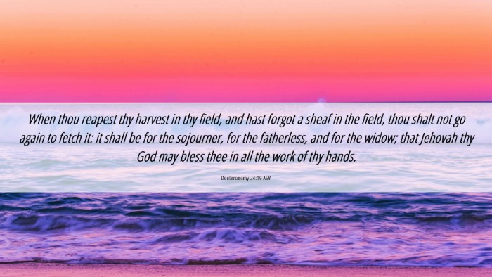 Picture 06 - Deuteronomy 24:19 ASV Desktop Wallpaper - When thou reapest thy harvest in thy field, and - Desktop Bible Verse Wallpaper