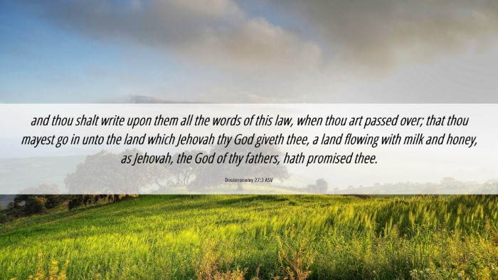 Picture 06 - Deuteronomy 27:3 ASV Desktop Wallpaper - and thou shalt write upon them all the words of - Desktop Bible Verse Wallpaper