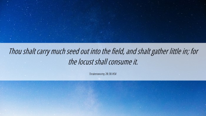 Picture 06 - Deuteronomy 28:38 ASV Desktop Wallpaper - Thou shalt carry much seed out into the field, - Desktop Bible Verse Wallpaper