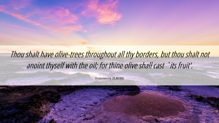 Picture 06 - Deuteronomy 28:40 ASV Desktop Wallpaper - Thou shalt have olive-trees throughout all thy - Desktop Bible Verse Wallpaper