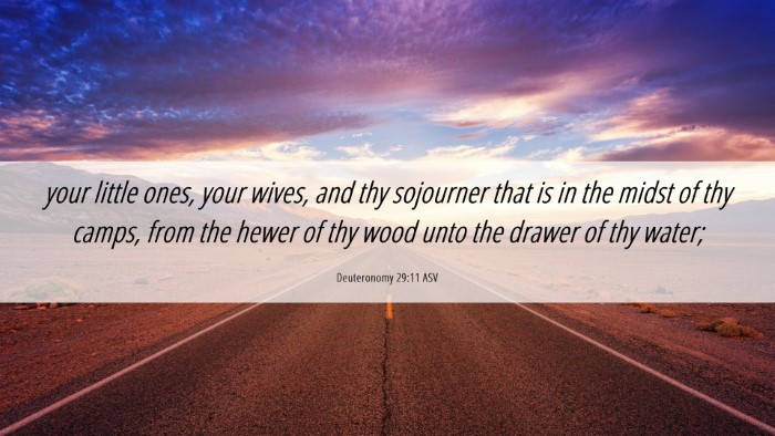 Picture 06 - Deuteronomy 29:11 ASV Desktop Wallpaper - your little ones, your wives, and thy sojourner - Desktop Bible Verse Wallpaper