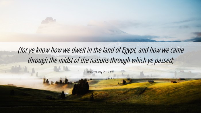 Picture 06 - Deuteronomy 29:16 ASV Desktop Wallpaper - (for ye know how we dwelt in the land of Egypt, - Desktop Bible Verse Wallpaper