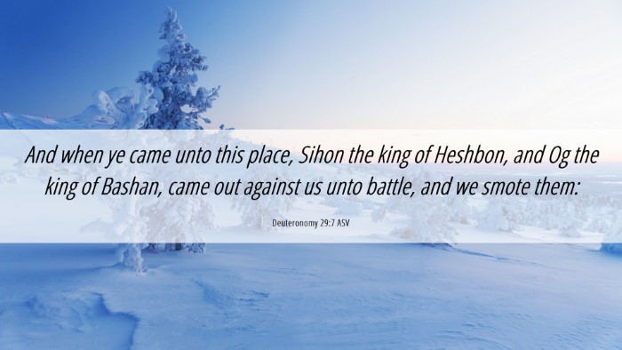 Picture 06 - Deuteronomy 29:7 ASV Desktop Wallpaper - And when ye came unto this place, Sihon the king - Desktop Bible Verse Wallpaper