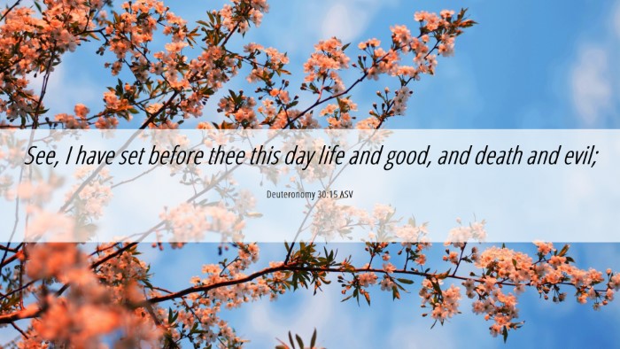 Picture 06 - Deuteronomy 30:15 ASV Desktop Wallpaper - See, I have set before thee this day life and - Desktop Bible Verse Wallpaper