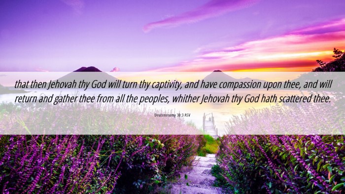 Picture 06 - Deuteronomy 30:3 ASV Desktop Wallpaper - that then Jehovah thy God will turn thy - Desktop Bible Verse Wallpaper