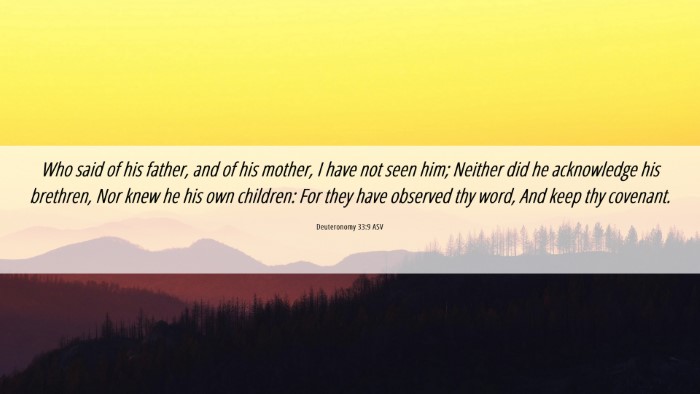 Picture 06 - Deuteronomy 33:9 ASV Desktop Wallpaper - Who said of his father, and of his mother, I have - Desktop Bible Verse Wallpaper