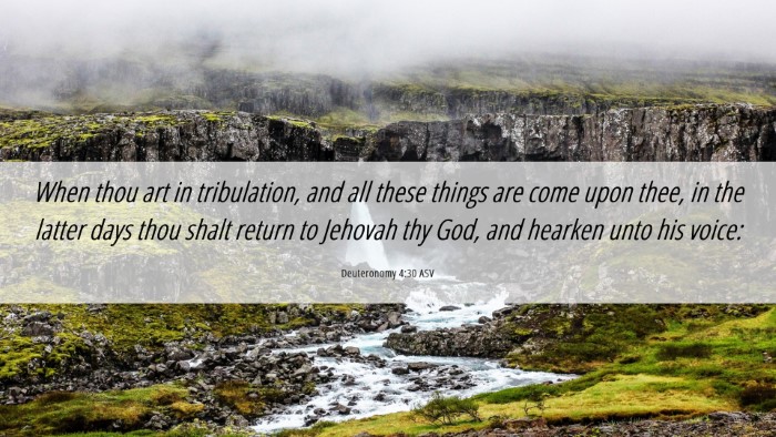 Picture 06 - Deuteronomy 4:30 ASV Desktop Wallpaper - When thou art in tribulation, and all these - Desktop Bible Verse Wallpaper