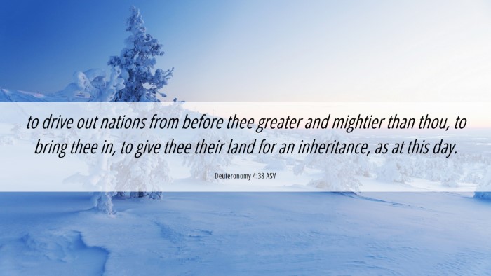 Picture 06 - Deuteronomy 4:38 ASV Desktop Wallpaper - to drive out nations from before thee greater and - Desktop Bible Verse Wallpaper