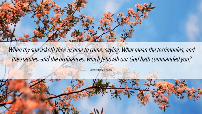 Picture 06 - Deuteronomy 6:20 ASV Desktop Wallpaper - When thy son asketh thee in time to come, saying, - Desktop Bible Verse Wallpaper