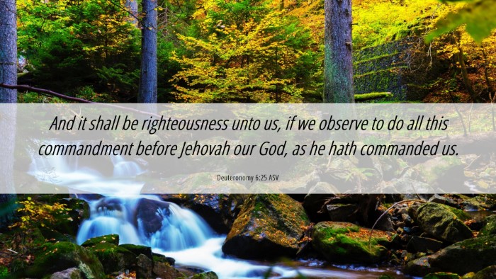 Picture 06 - Deuteronomy 6:25 ASV Desktop Wallpaper - And it shall be righteousness unto us, if we - Desktop Bible Verse Wallpaper