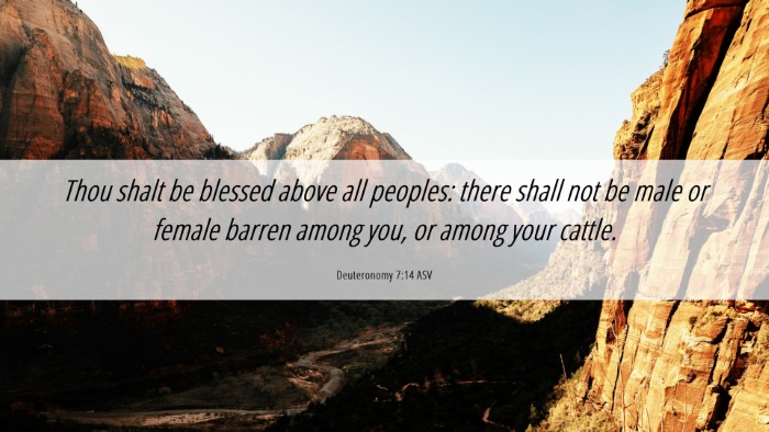 Picture 06 - Deuteronomy 7:14 ASV Desktop Wallpaper - Thou shalt be blessed above all peoples: there - Desktop Bible Verse Wallpaper