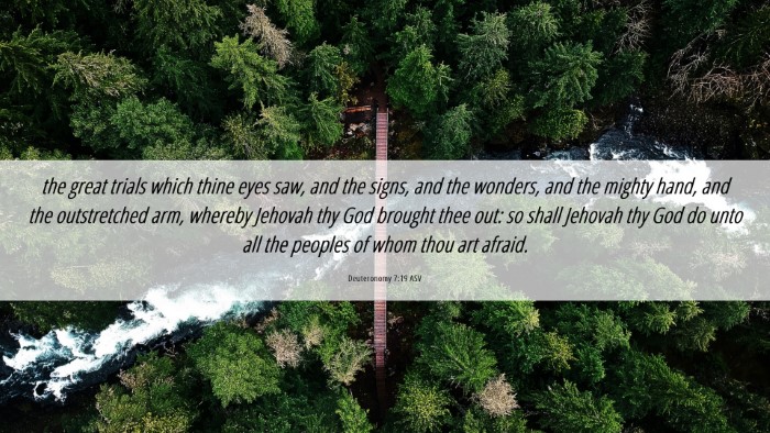 Picture 06 - Deuteronomy 7:19 ASV Desktop Wallpaper - the great trials which thine eyes saw, and the - Desktop Bible Verse Wallpaper