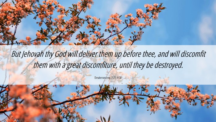 Picture 06 - Deuteronomy 7:23 ASV Desktop Wallpaper - But Jehovah thy God will deliver them up before - Desktop Bible Verse Wallpaper