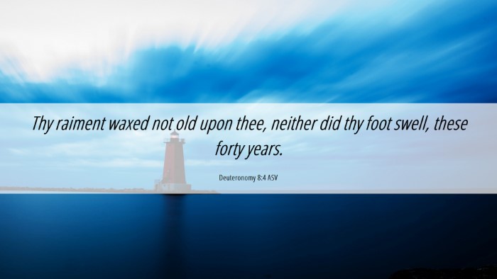 Picture 06 - Deuteronomy 8:4 ASV Desktop Wallpaper - Thy raiment waxed not old upon thee, neither did - Desktop Bible Verse Wallpaper