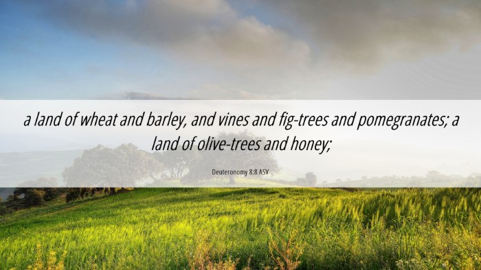 Picture 06 - Deuteronomy 8:8 ASV Desktop Wallpaper - a land of wheat and barley, and vines and - Desktop Bible Verse Wallpaper