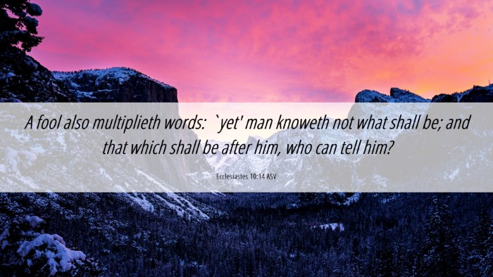 Picture 06 - Ecclesiastes 10:14 ASV Desktop Wallpaper - A fool also multiplieth words: `yet' man knoweth - Desktop Bible Verse Wallpaper