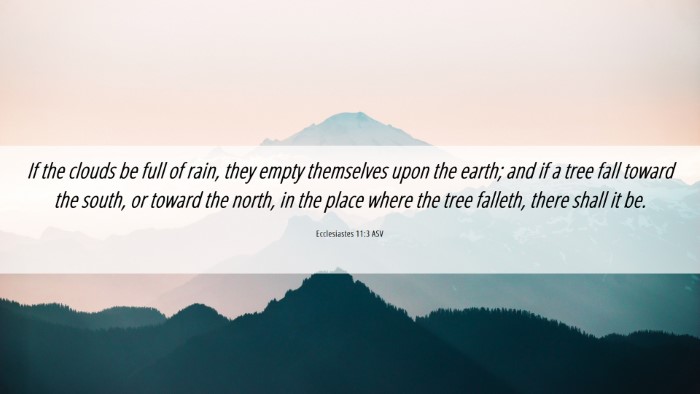 Picture 06 - Ecclesiastes 11:3 ASV Desktop Wallpaper - If the clouds be full of rain, they empty - Desktop Bible Verse Wallpaper