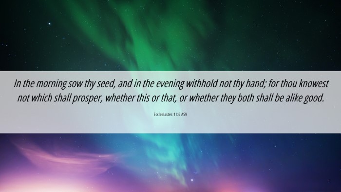 Picture 06 - Ecclesiastes 11:6 ASV Desktop Wallpaper - In the morning sow thy seed, and in the evening - Desktop Bible Verse Wallpaper